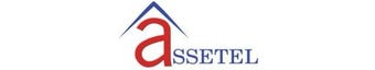 Real Estate Agency ASSETEL