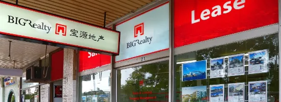 Big Realty - Chippendale - Real Estate Agency