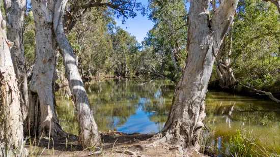 Bungundarra Road, Bungundarra, QLD, 4703