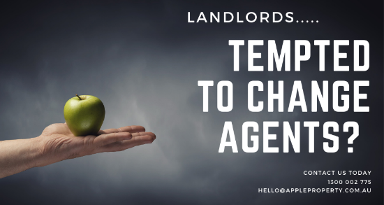 Apple Property Management - Islington  - Real Estate Agency