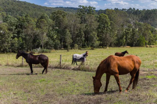 Cedar Creek Road, Gheerulla, QLD, 4574