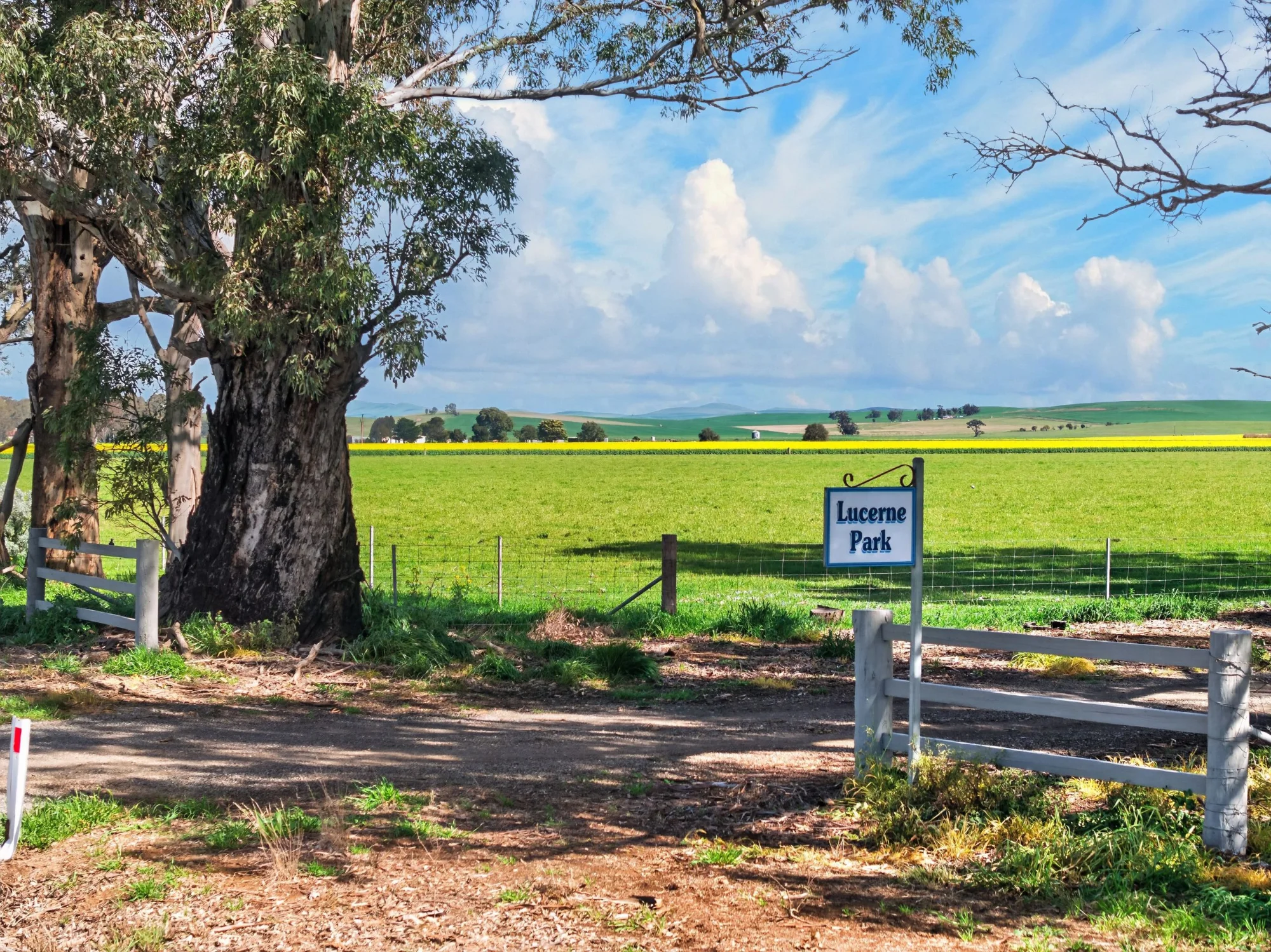 'Lucerne Park', Booborowie SA 5417