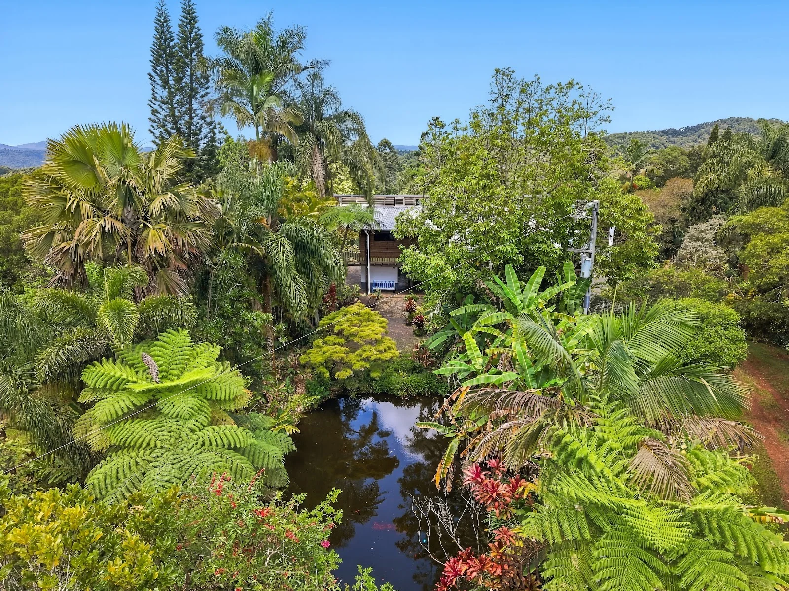 94 Ellinjaa Road, Millaa Millaa, Qld 4886