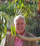 David Matthew - Real Estate Agent From - Venture Property Specialists - NAROOMA