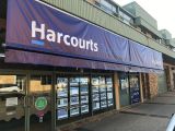 David Maxwell - Real Estate Agent From - Harcourts - The Rocks