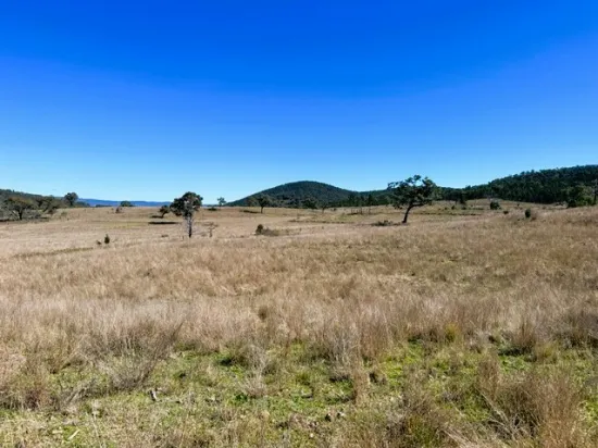 Delungra Road, Bingara, NSW, 2404