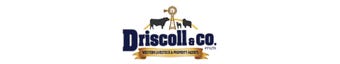 Real Estate Agency Driscoll & Co