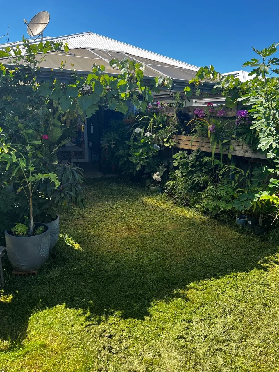 1/50 Paddington St, Bellmere, Qld 4510