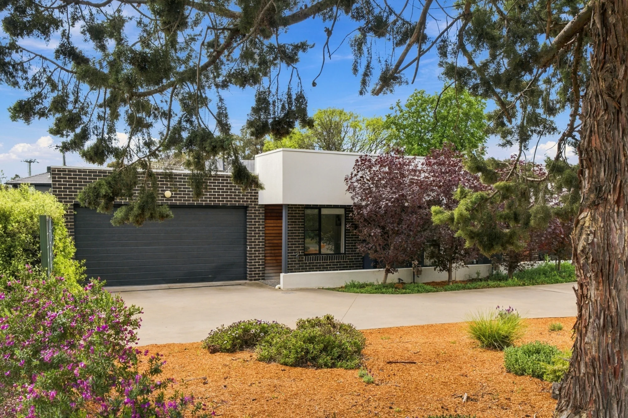 2/4 Jindivik Place, Scullin, ACT 2614