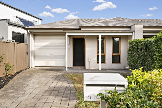 21 Rosedale Avenue, Morphettville, SA 5043