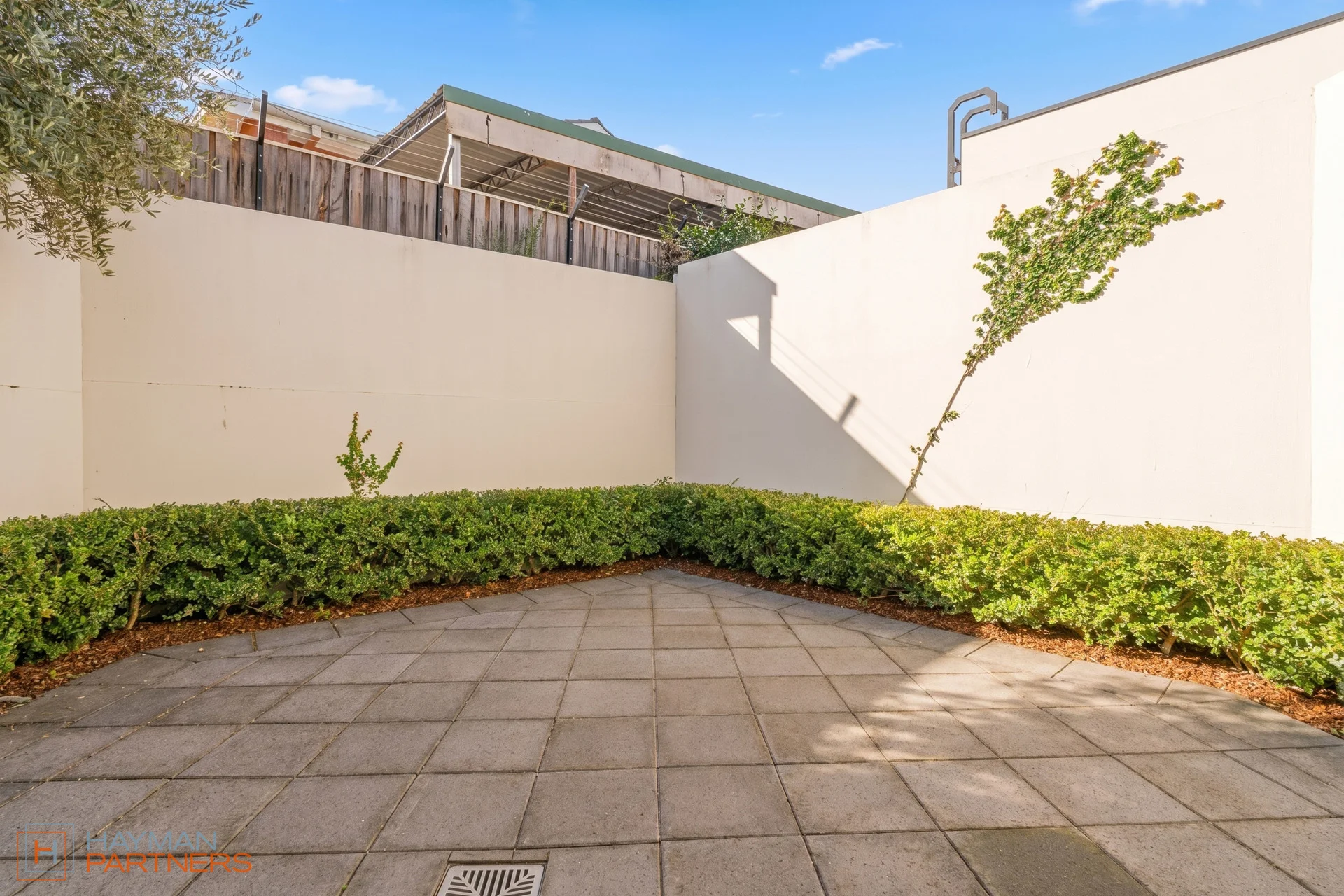 26b Ayers Street, Curtin, ACT 2605