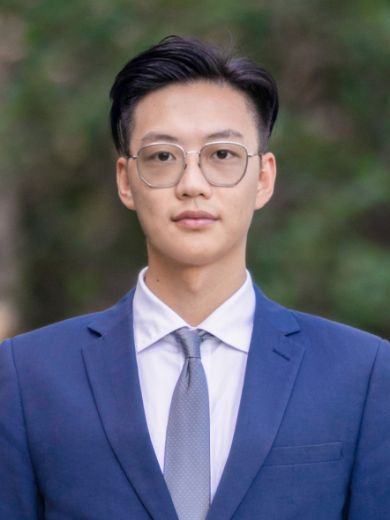 Dylan Wei - Real Estate Agent at Ray White - Robertson