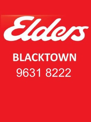 Elders Blacktown Rentals Real Estate Agent