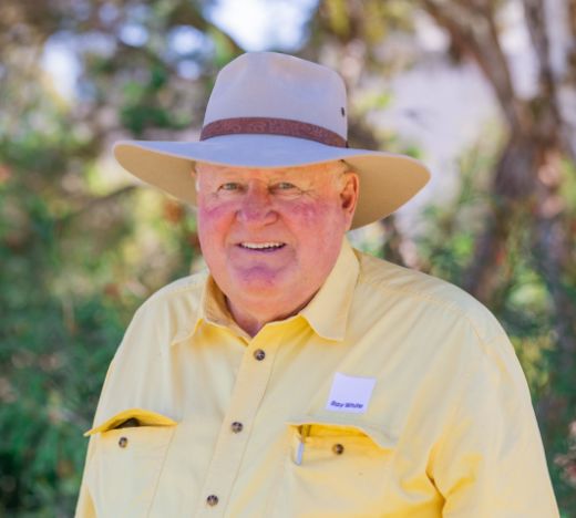 Errol Luck - Real Estate Agent at Ray White Rural - Oakey