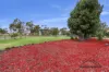 1238 Moloneys Road, Wallup, Vic 3401-Image