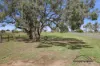 1238 Moloneys Road, Wallup, Vic 3401-Image