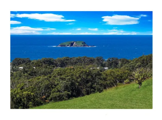 Gaudrons Road, Sapphire Beach, NSW, 2450