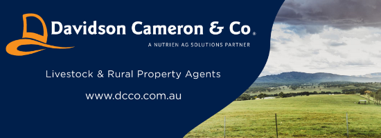 Davidson Cameron & Co - Tamworth - Real Estate Agency