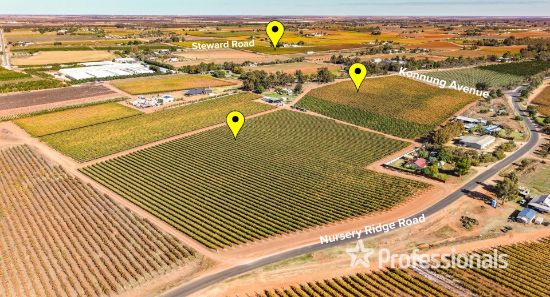 225 Stewart Road, Red Cliffs, Vic 3496