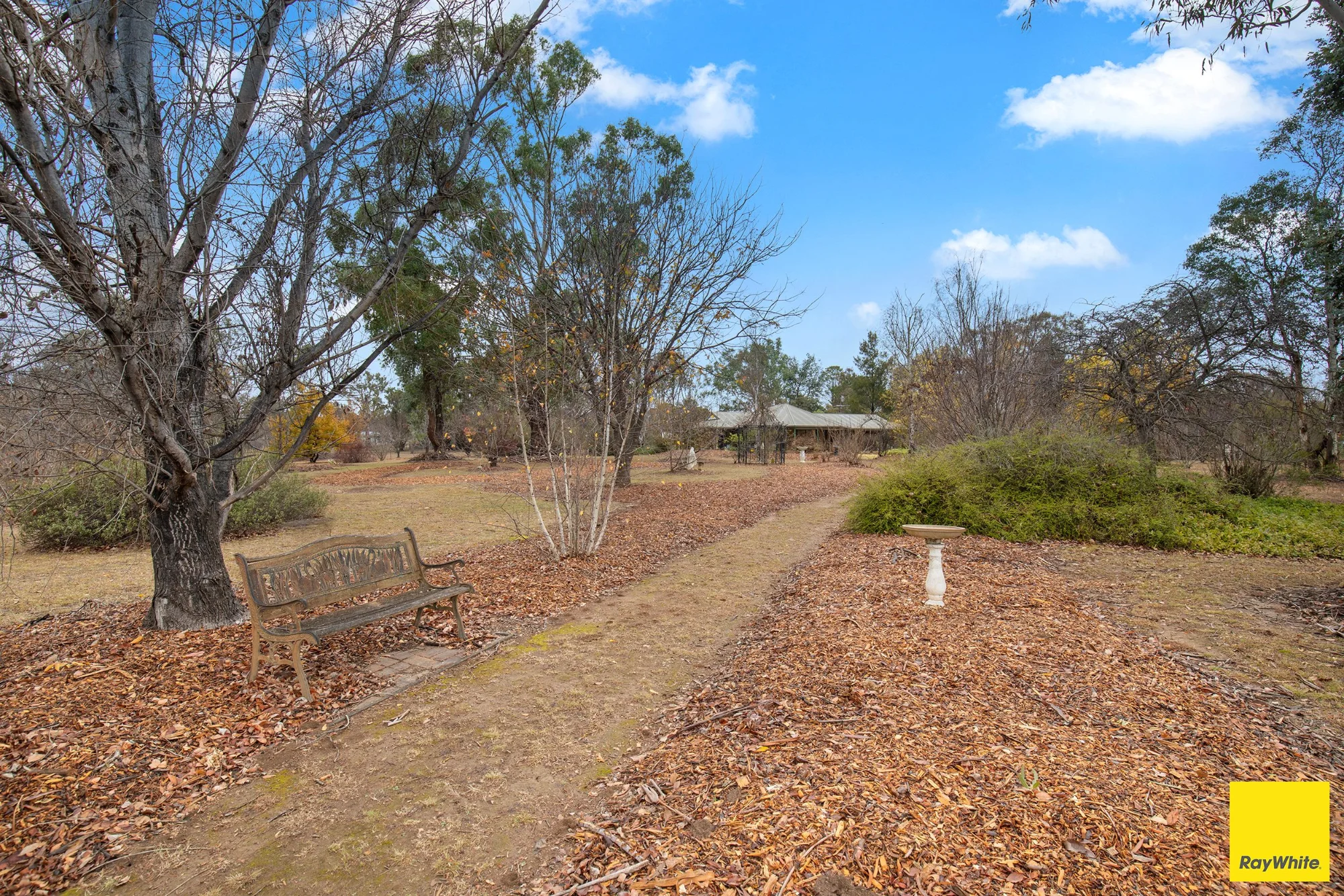 1 Coluche Road, Armidale NSW 2350