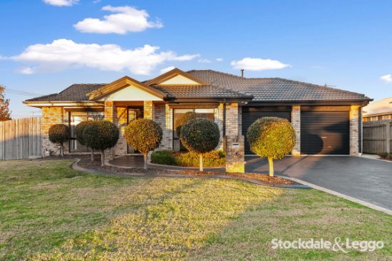 1 Napier Place, Traralgon, Vic 3844