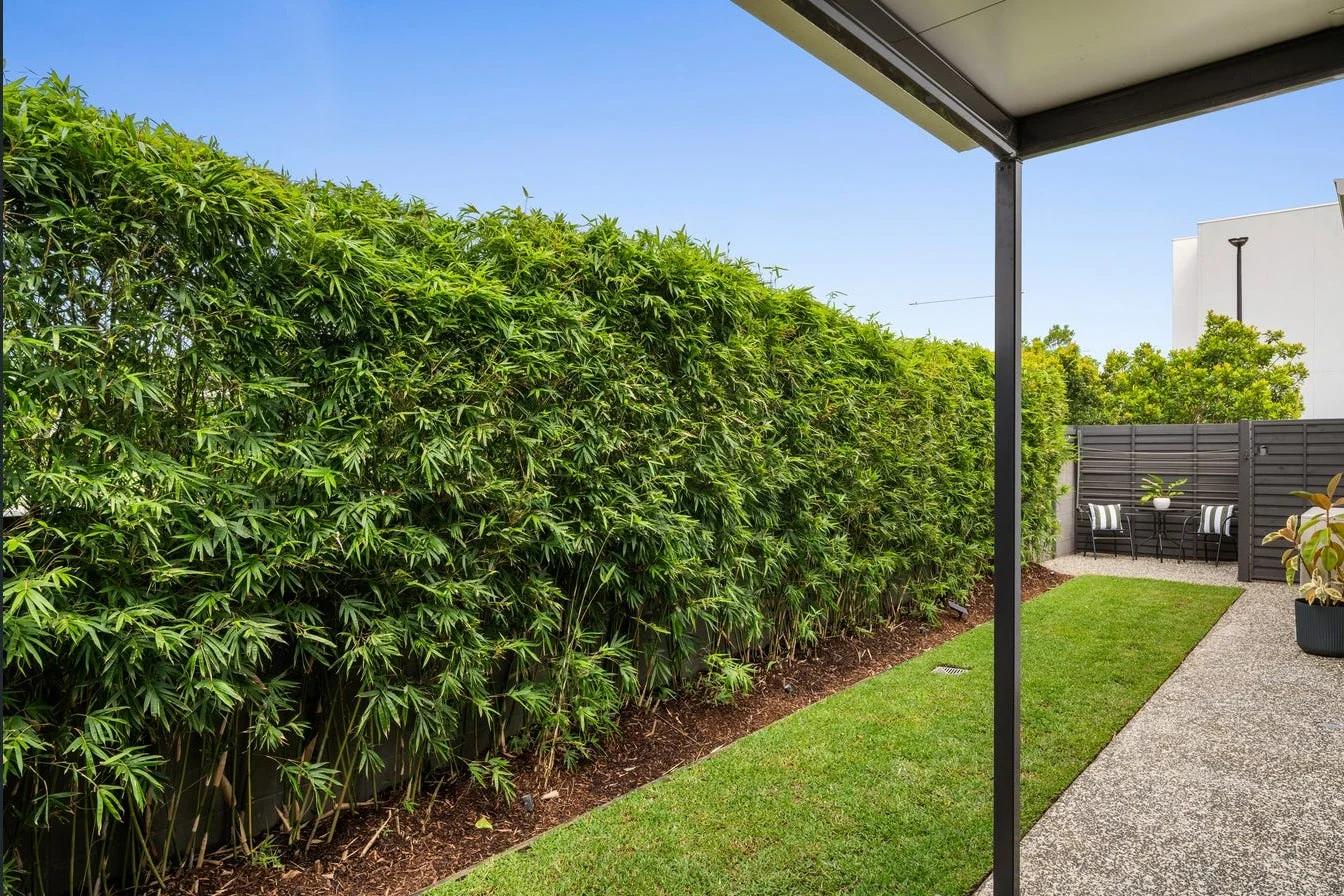 1 Triller Walk, Palmview, Qld 4553