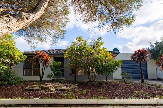 10 Cassinia Crescent, Meadow Heights, Vic 3048