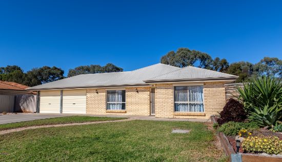 10 Flinders Street, Renmark, SA 5341
