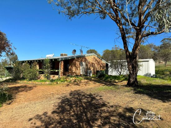 10 Purkiss Drive, Northam, WA 6401