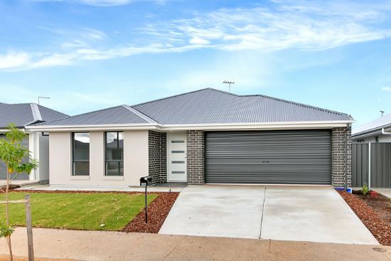 10 Willow Court, Davoren Park, SA 5113