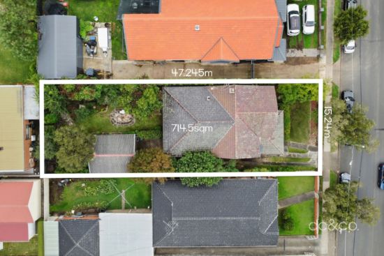101 Wellbank Street, North Strathfield, NSW 2137