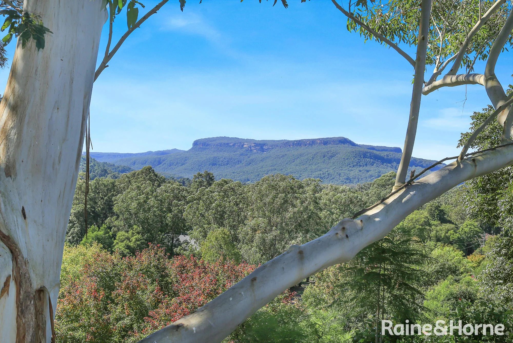 102 Moss Vale Road, Kangaroo Valley, NSW 2577