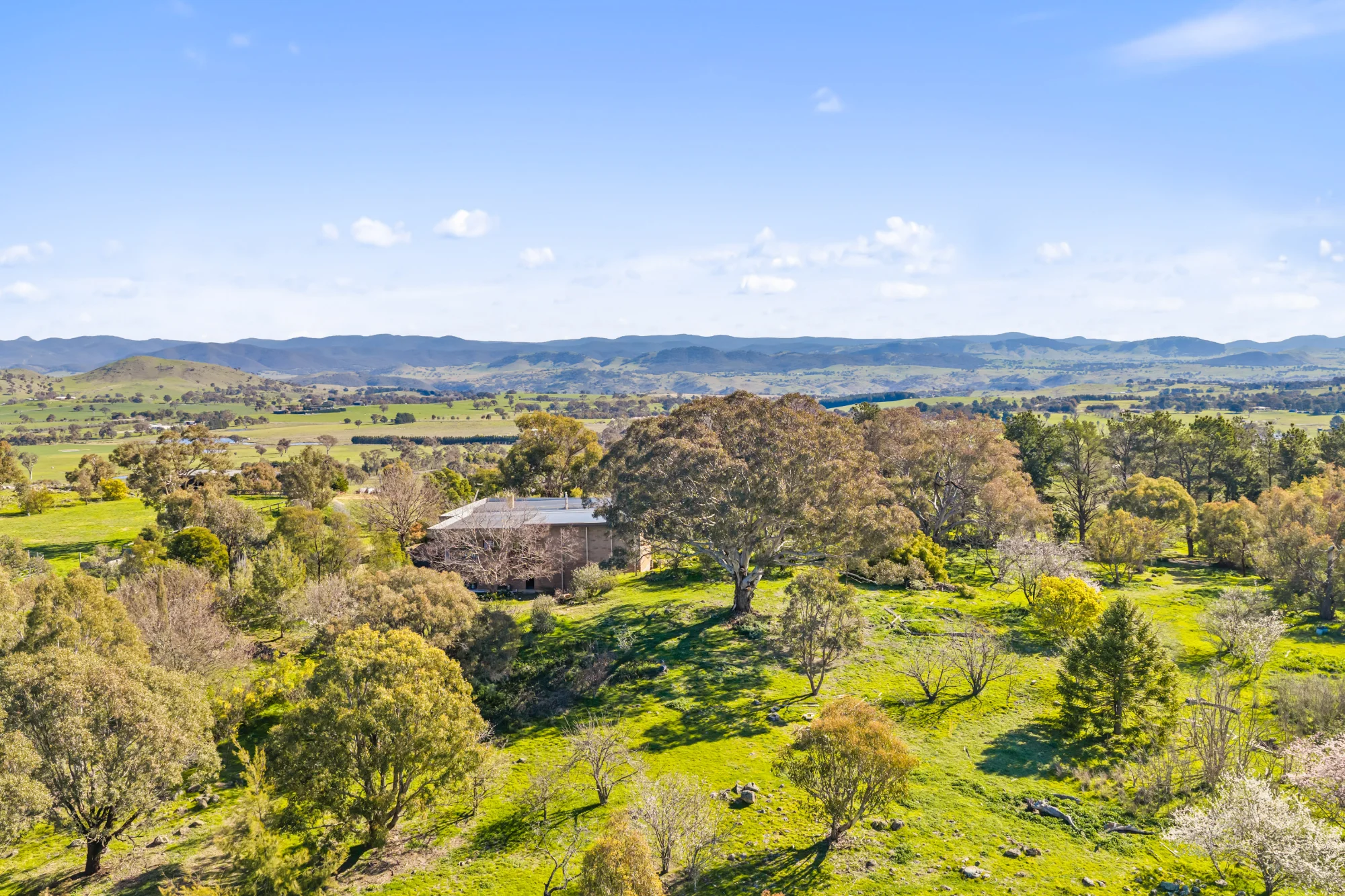 103 Captains Hill Road, Wallaroo, NSW 2618