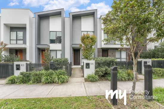105 Passiflora Avenue, Denham Court, NSW 2565