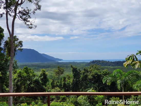 106 Black Bean Road, Cow Bay, Daintree, Qld 4873