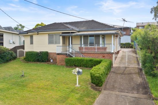 106 Maize Street, Tenambit, NSW 2323