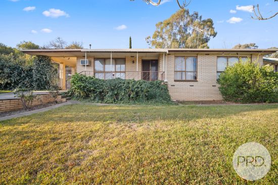 107 Red Hill Road, Tolland, NSW 2650