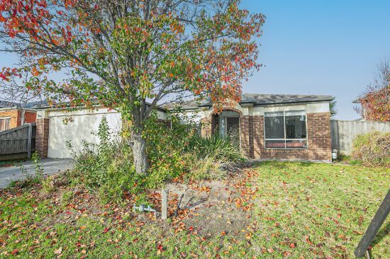 11 Baddeley Circuit, Cranbourne North, Vic 3977