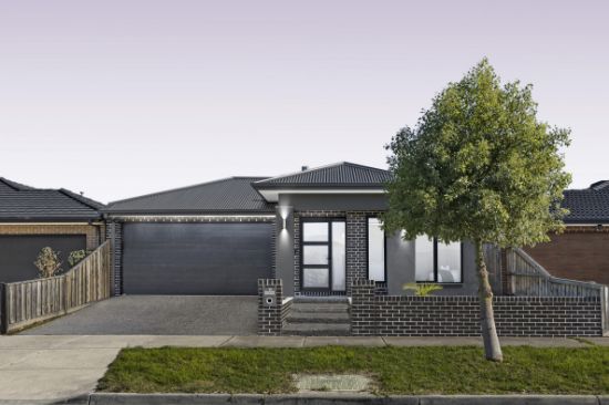 11 Mumm Street, Wollert, Vic 3750