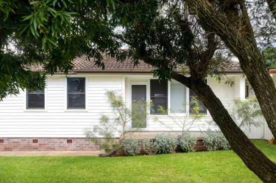 11 Plane Street, Gateshead, NSW 2290