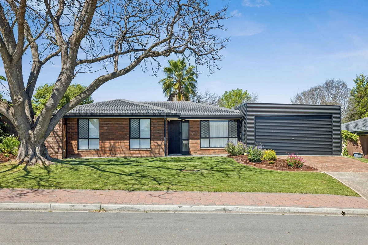 11 Reisling Road, Wynn Vale, SA 5127