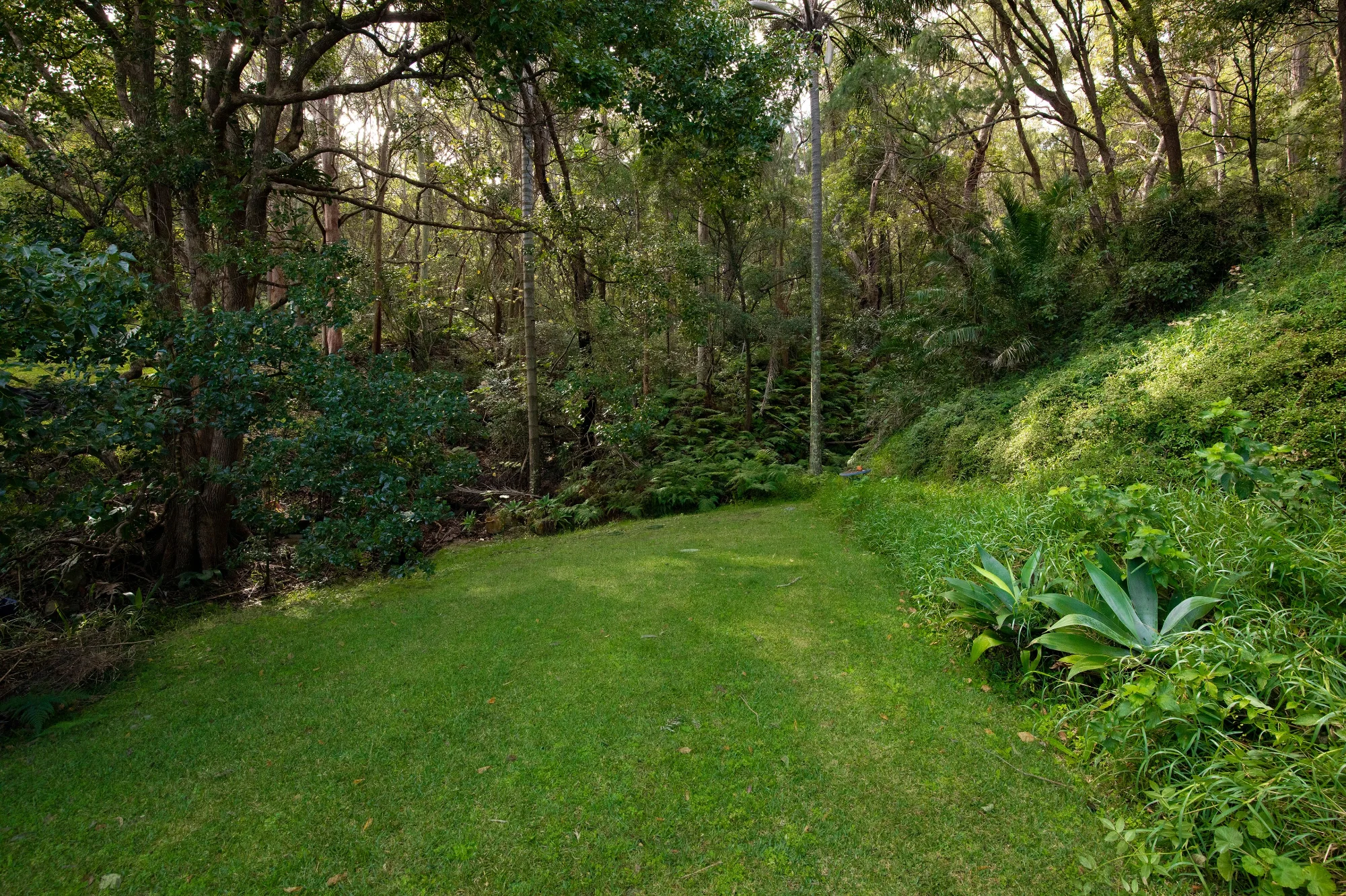 114, Coal Point NSW 2283