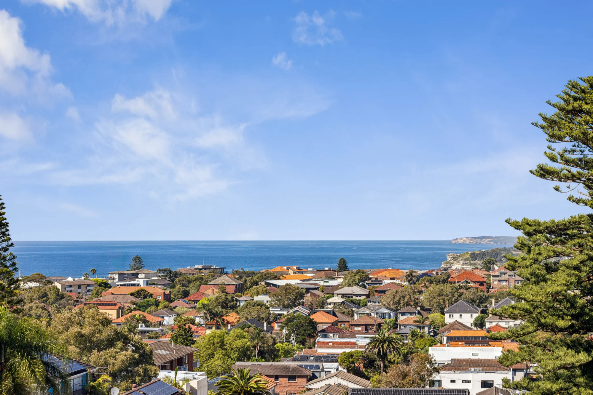 12 Macleay Street, North Bondi, NSW 2026