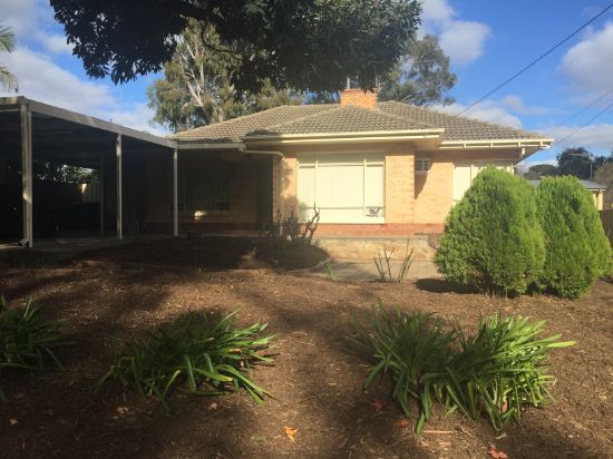 12 Mistletoe Terrace, Tea Tree Gully, SA 5091