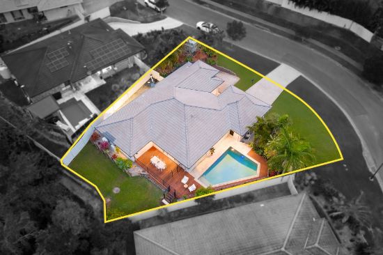 12 Snowwood Street, Reedy Creek, Qld 4227