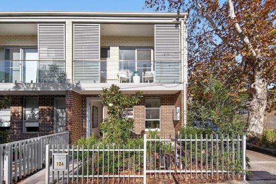 12A Carlton Crescent, Summer Hill, NSW 2130