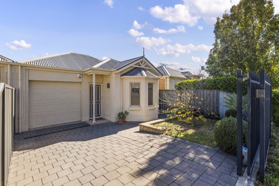 12A Frank Street, Newton, SA 5074