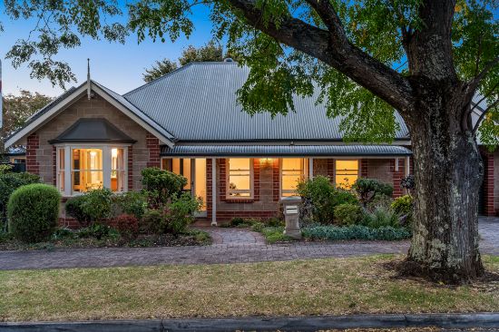 13 Cotham Avenue, Kensington Park, SA 5068