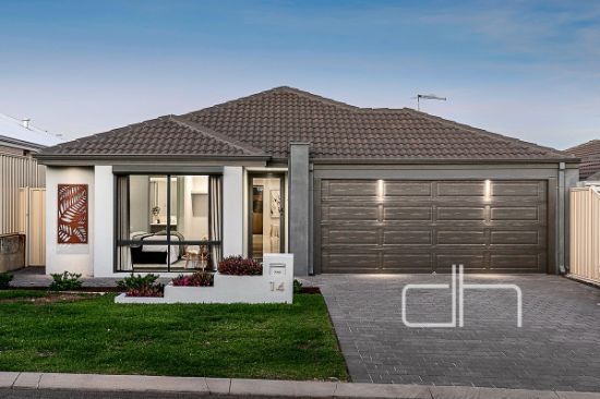 14 Kiev Link, Hocking, WA 6065