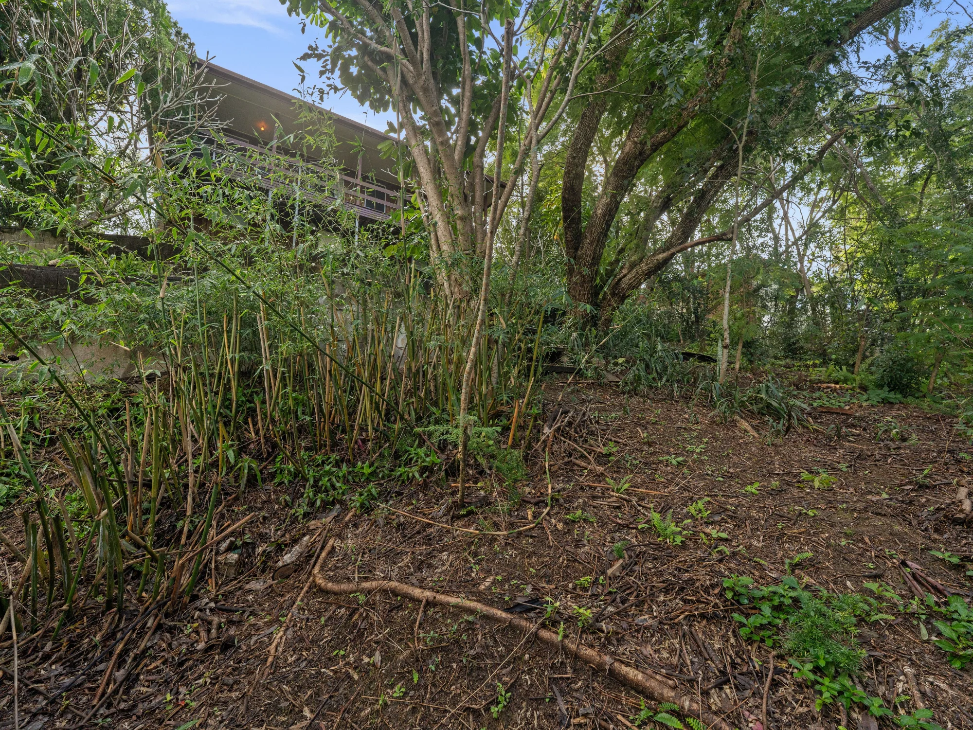 147 Plucks Road, Arana Hills QLD 4054